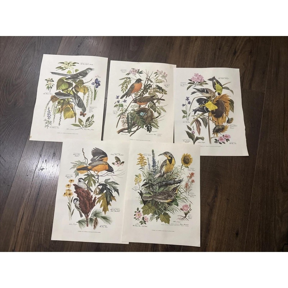 Lot Of 5 Vintage Arthur Singer Bird Painting Prints 9.75x12.5"